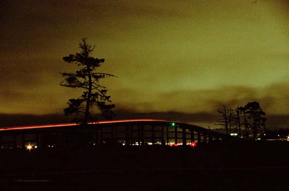 Night Photo 6