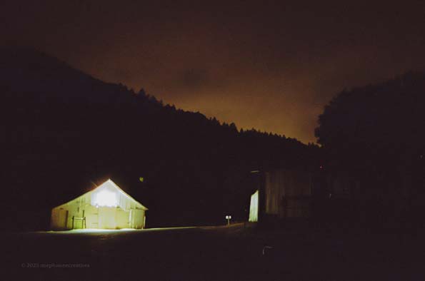 Night Photo 7
