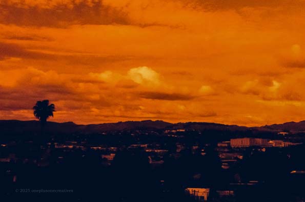 Night Photo 9