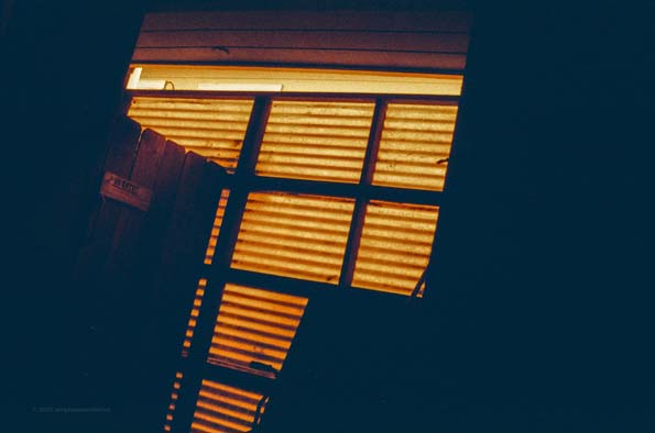 Night Photo 11