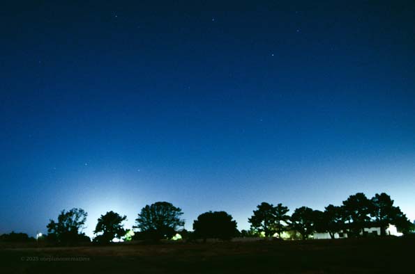 Night Photo 16