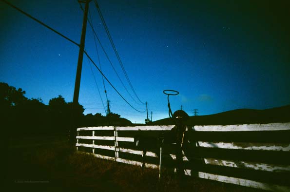 Night Photo 20