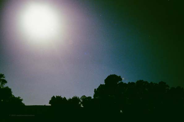 Night Photo 22