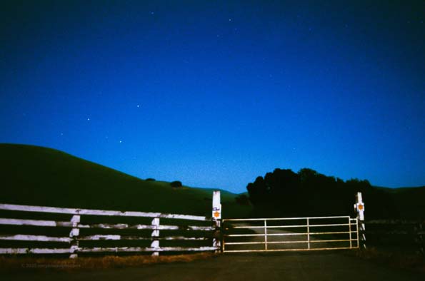 Night Photo 23