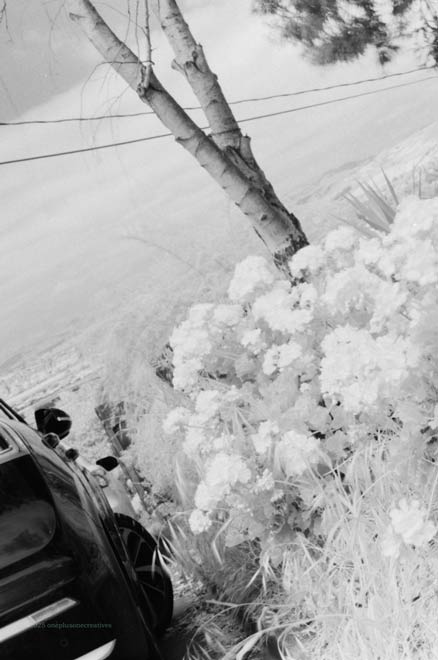 IR Test Photo 1