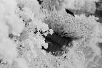 IR Test Photo 3