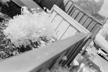 IR Test Photo 4