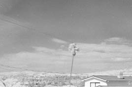 IR Test Photo 5