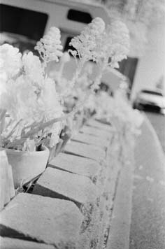IR Test Photo 6