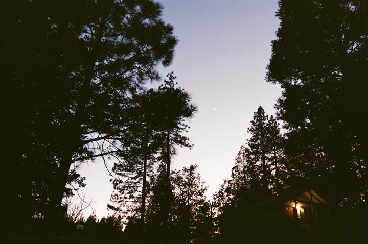 KD Photo 5