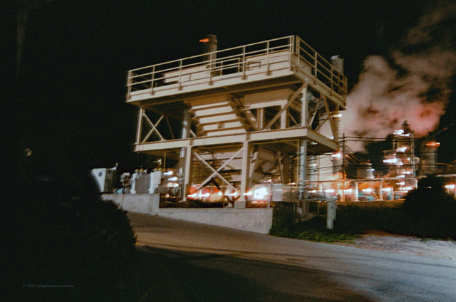 Film Photo 1