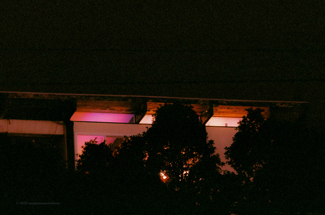 Film Photo 7
