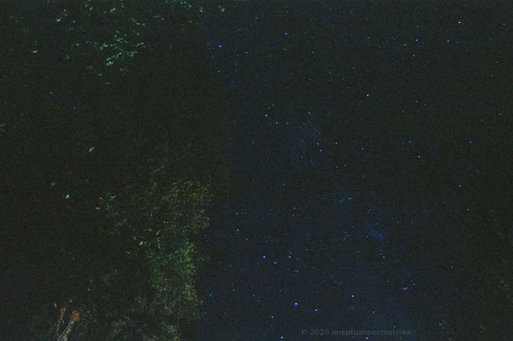 Night Yosemite Photo 2