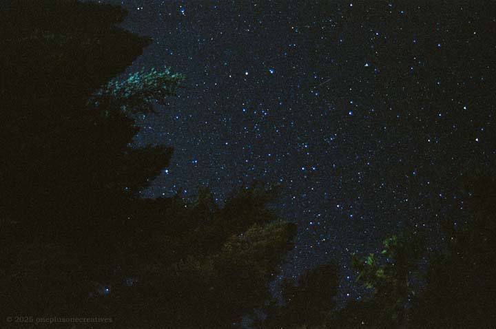 Night Yosemite Photo 5