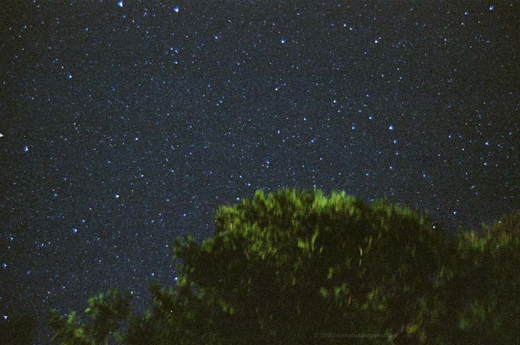 Night Yosemite Photo 8