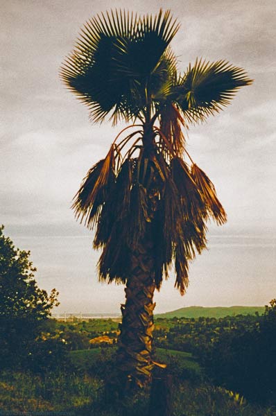 Website Photo 1