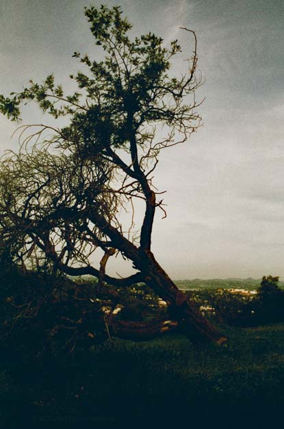 Website Photo 2