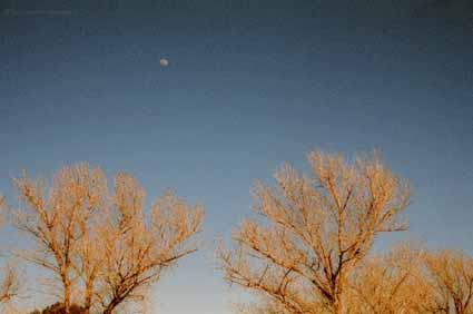 Website Photo 7