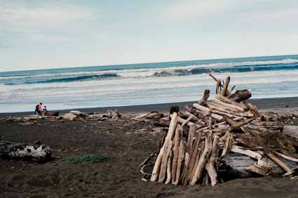 Website Photo 13
