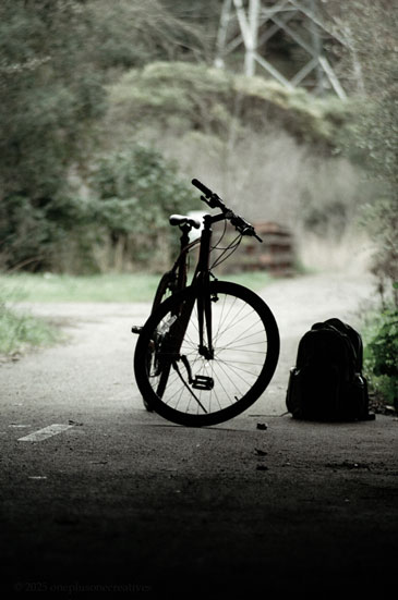 Website Photo 19