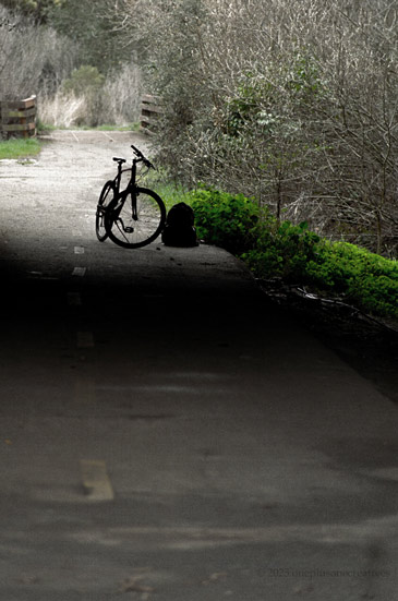 Website Photo 20