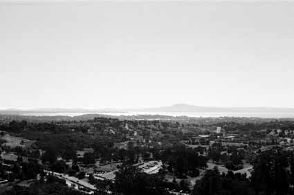 Website Photo 24